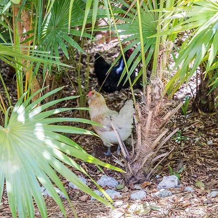 The Florida Keys Treehouse In Marathon, Fl Villa Exterior photo