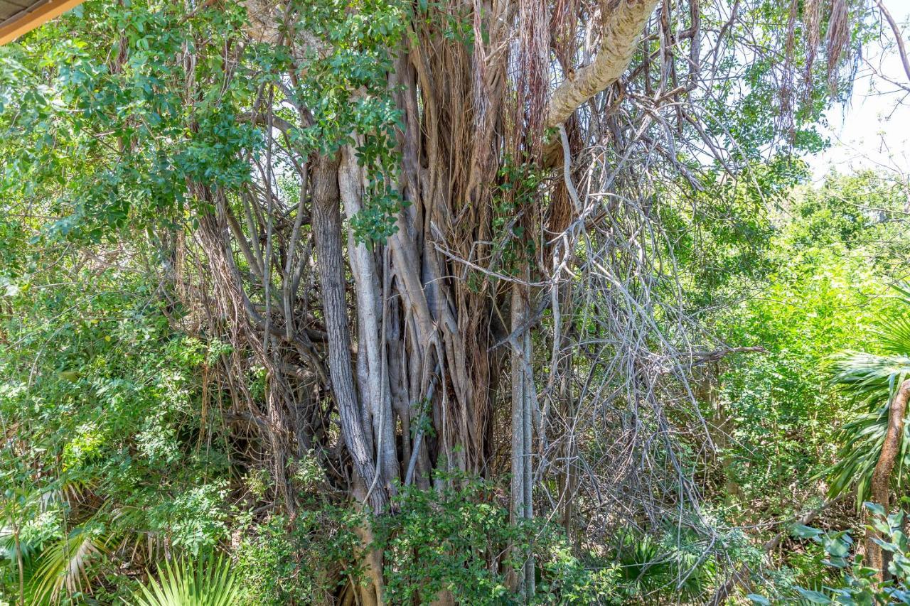 The Florida Keys Treehouse In Marathon, Fl